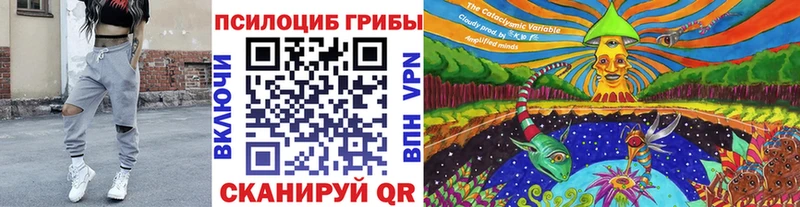 Купить  Бутурлиновка  Псилоцибиновые грибы Psilocybe 