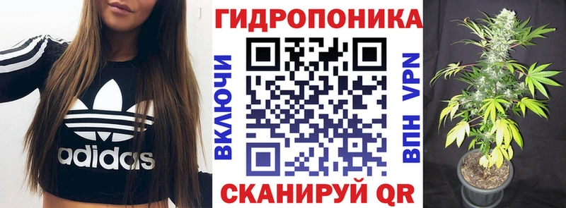 Каннабис Amnesia Бутурлиновка